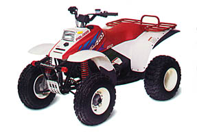 atv.jpg (18326 bytes)